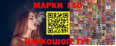 гидра Волгодонск