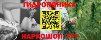 гидра Волгодонск