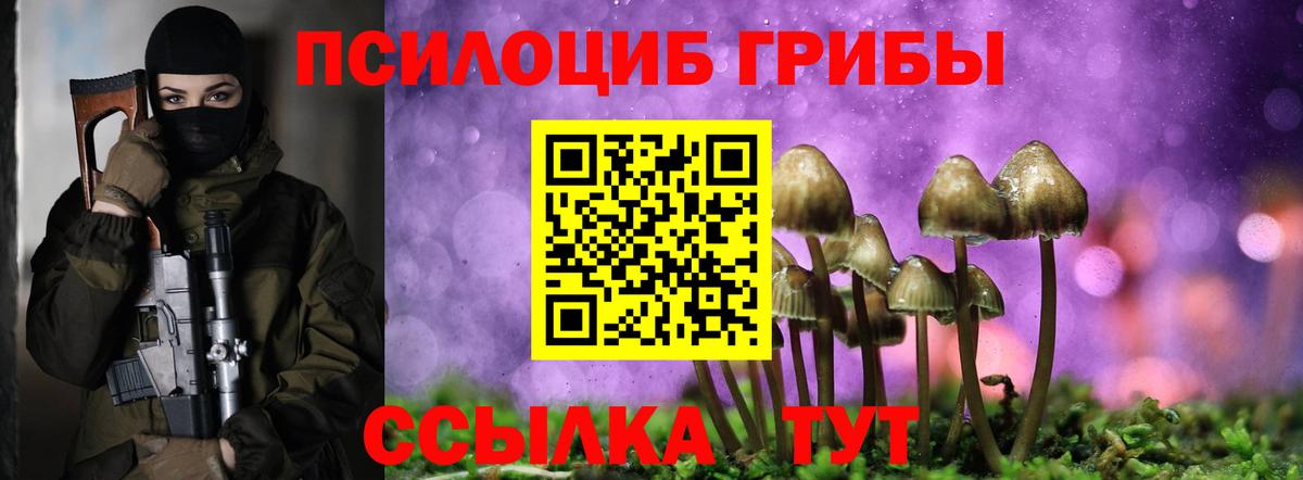 Можга  закладка  Вход с VPN  Галлюциногенные грибы мицелий 