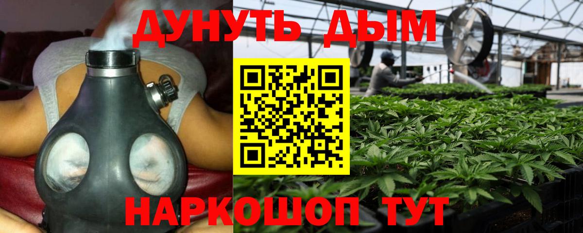 Можга  Марихуана план  Марихуана MAZAR  Вход с VPN  Шишки марихуана MAZAR 